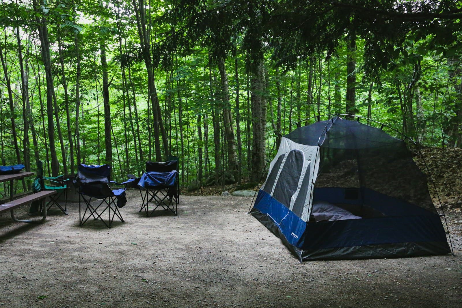 A blue and grey mesh-sided tent, folding chairs and a picnic table on a cleared woodland pitch.