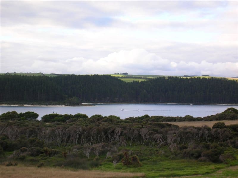 Water, scrub and a tree-covered opposite shore in the Kai Iwi Lakes area.
