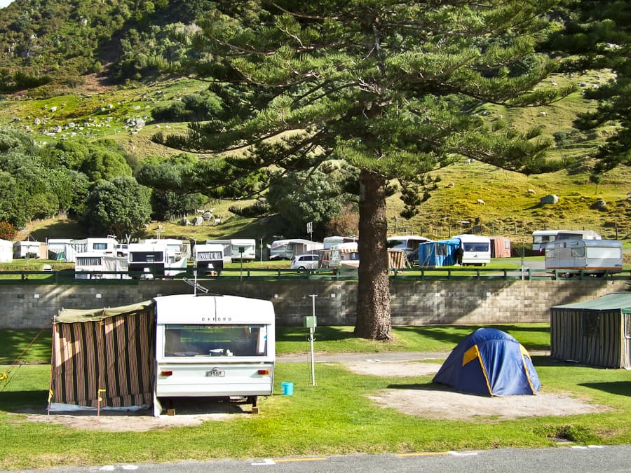 Caravans, awnings and a blue tent on grassy terraces below a wooded hillside at Mount Maunganui.