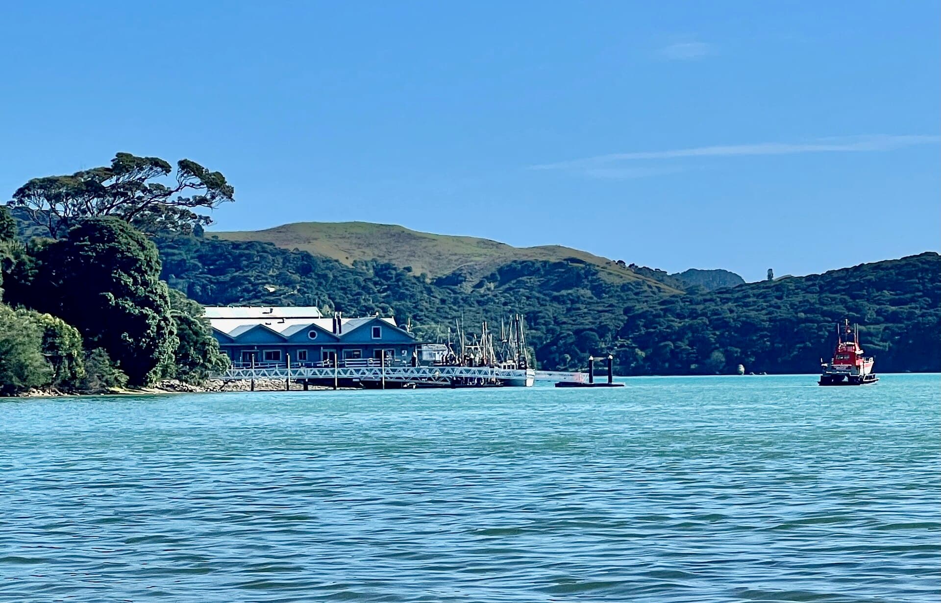 Raglan wharf buildings and pontoon across blue harbour water, with a red boat to the right.