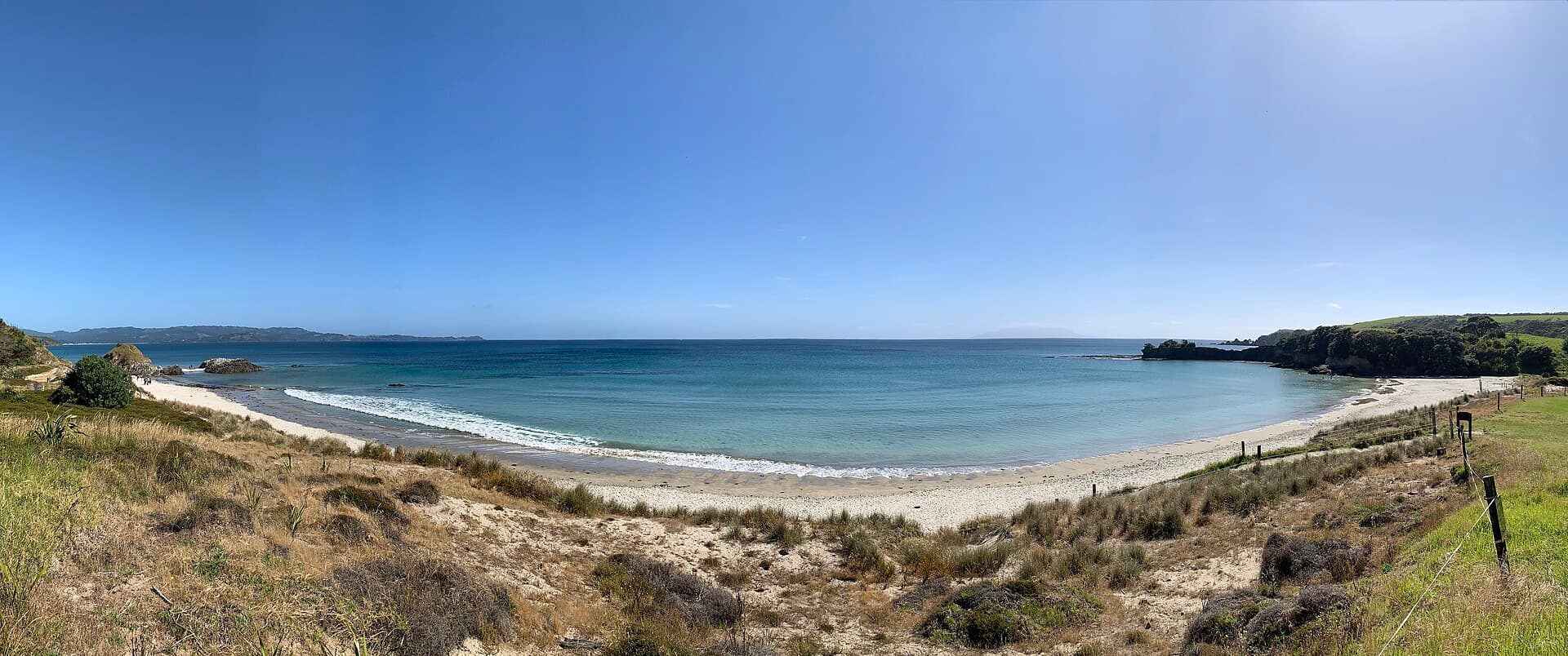 Panoramic view of Anchor Bay's sandy beach and blue water from the grassy coast at Tawharanui.