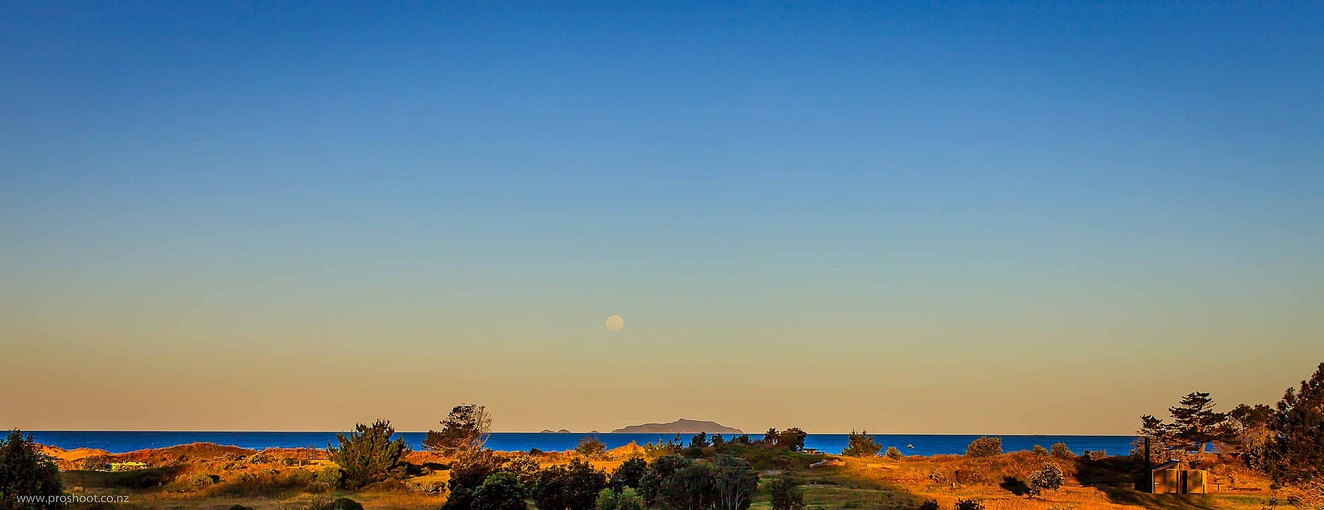 Coastal vegetation and the sea at Uretiti, with Hen Island on the horizon under the moon.