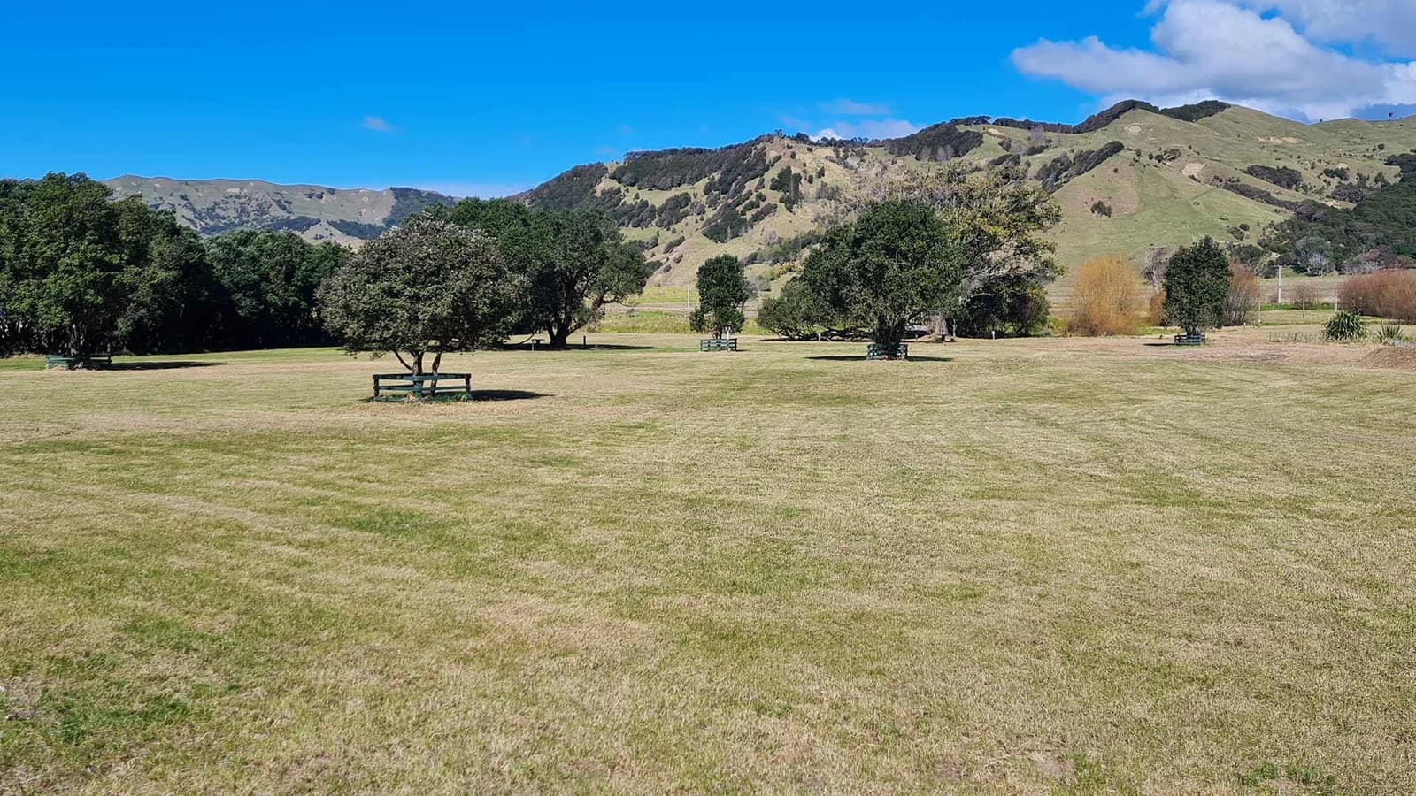 Open grassy camping ground with scattered trees and fenced tree guards below hills at Anaura Bay DOC Campsite.