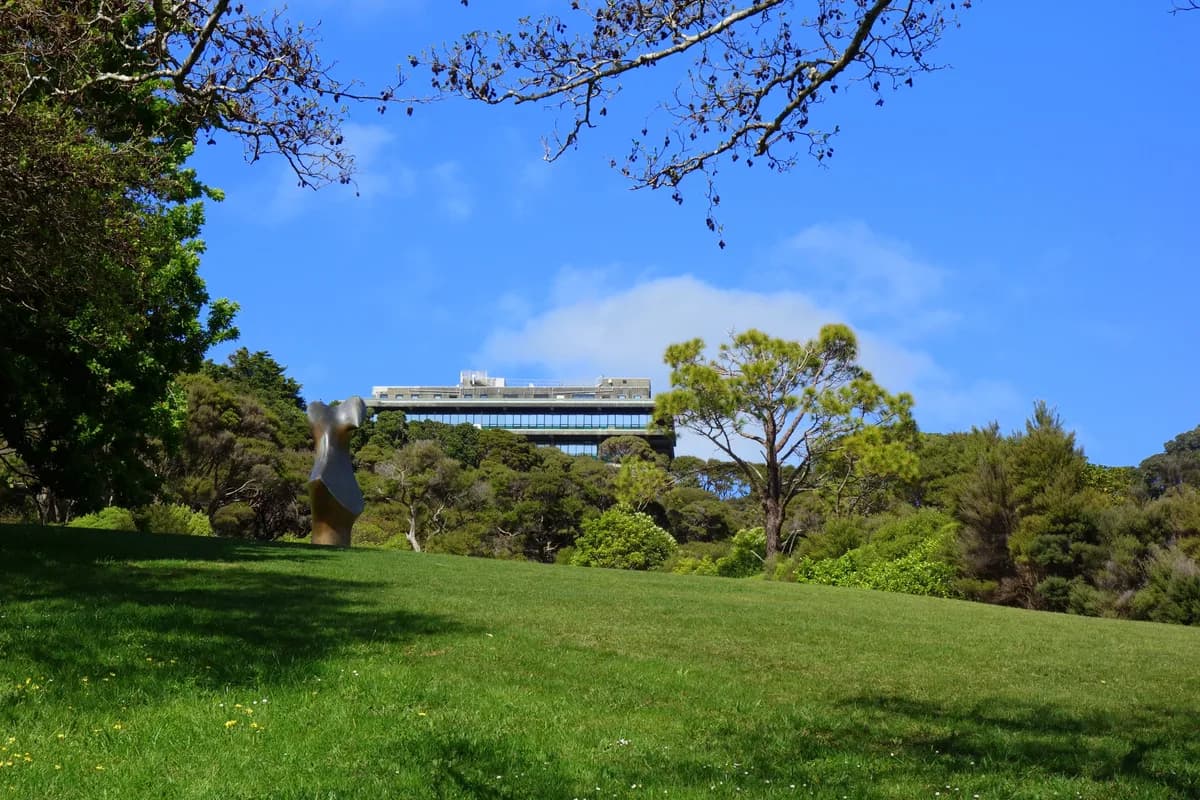 Lawn and planted borders in Wellington Botanic Garden, New Zealand, photographed on location