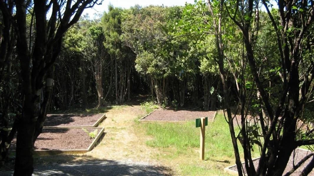 Five raised camping platforms in a clearing in the bush.