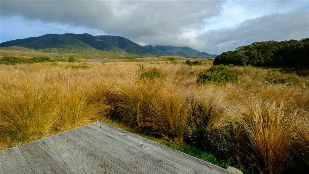 Gouland Downs campsite.