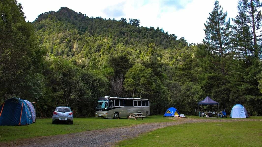 Tents and a campervan on a grassy clearing surrounded by dense forest.