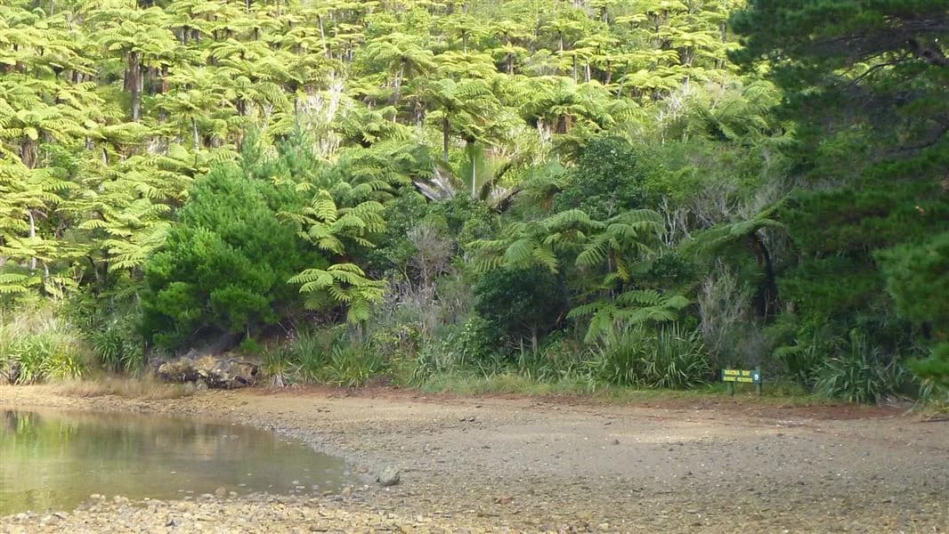 Waiona bay, photographed on the official DOC campsite page.