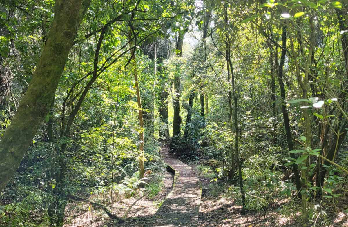 Elsthorpe Scenic Reserve.