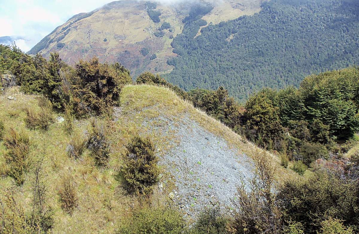 Gold mining tailings high above the Rees Valley.