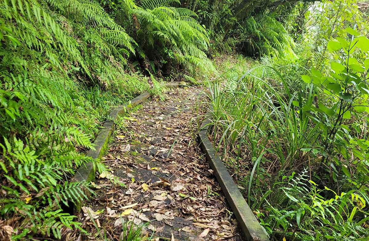 Opouahi Walkway