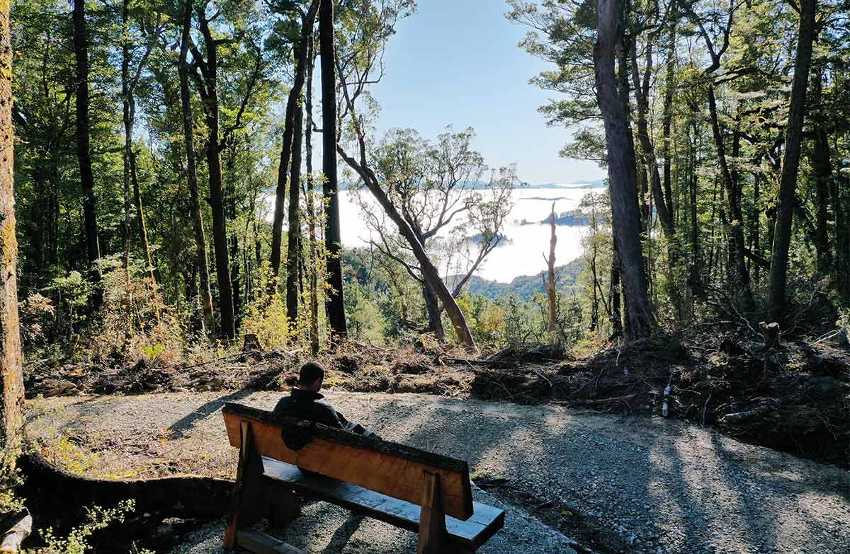 Globe Hill Track with a person sitting on a seat admiring the view.