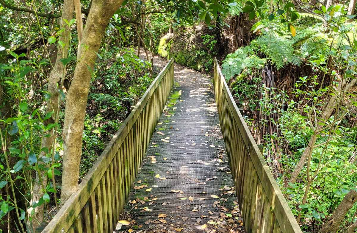 Footbridge and track through bush.
