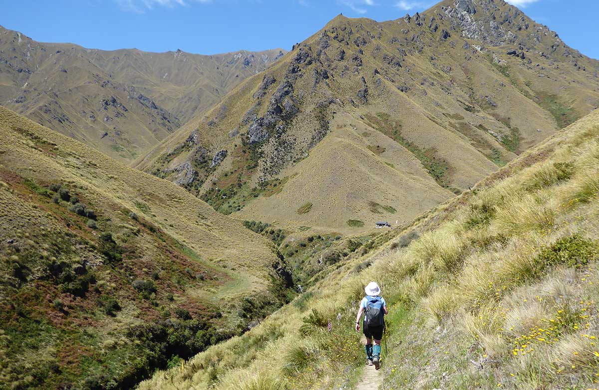 Tramper on the Motatapu Track, with Fern Burn Hut in the distance.