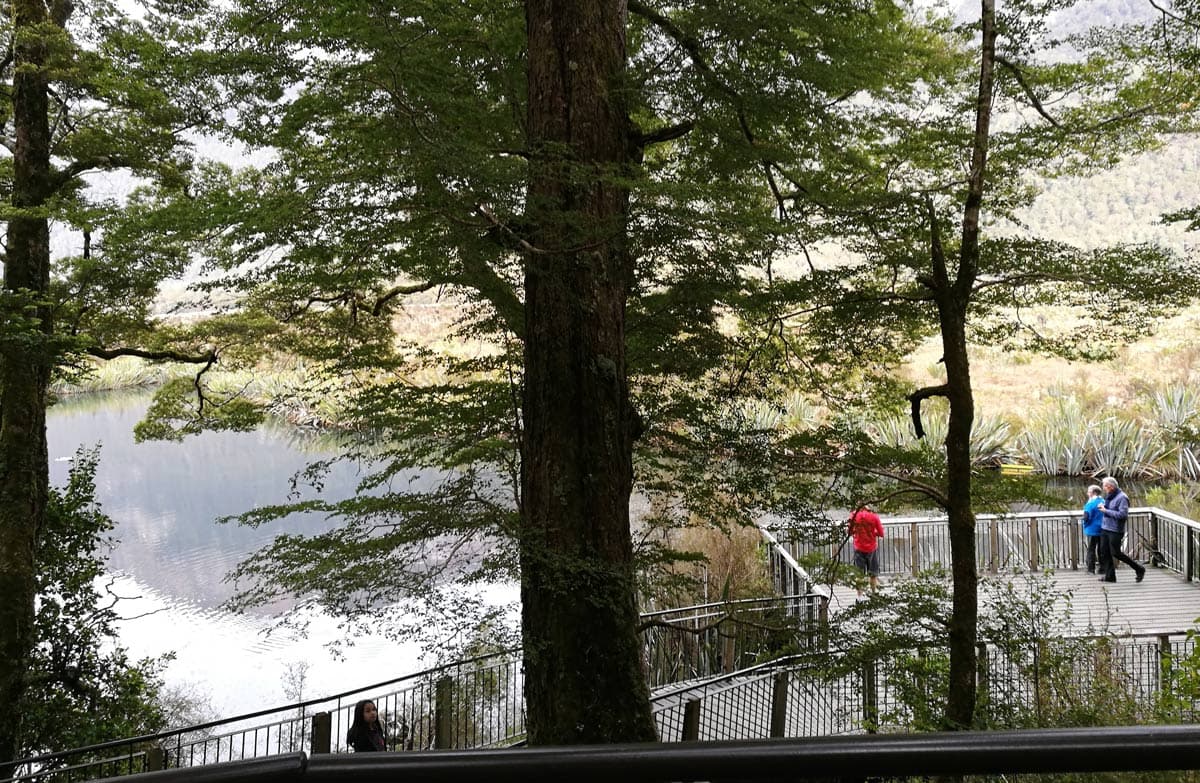Platform on the Mirror Lakes Walk.