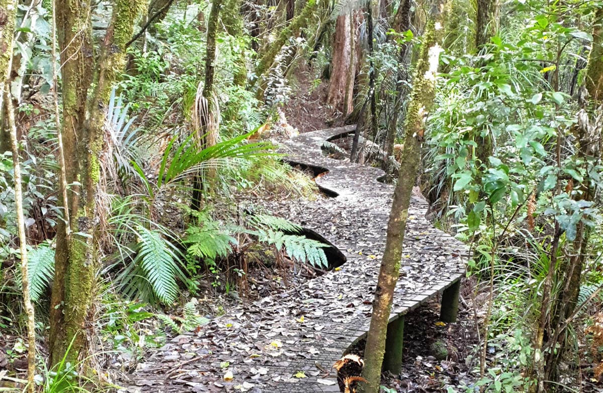 View of Murray's Walk