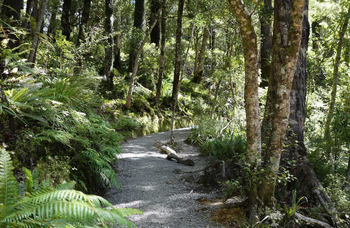 Track up to Rocky Lookout. 