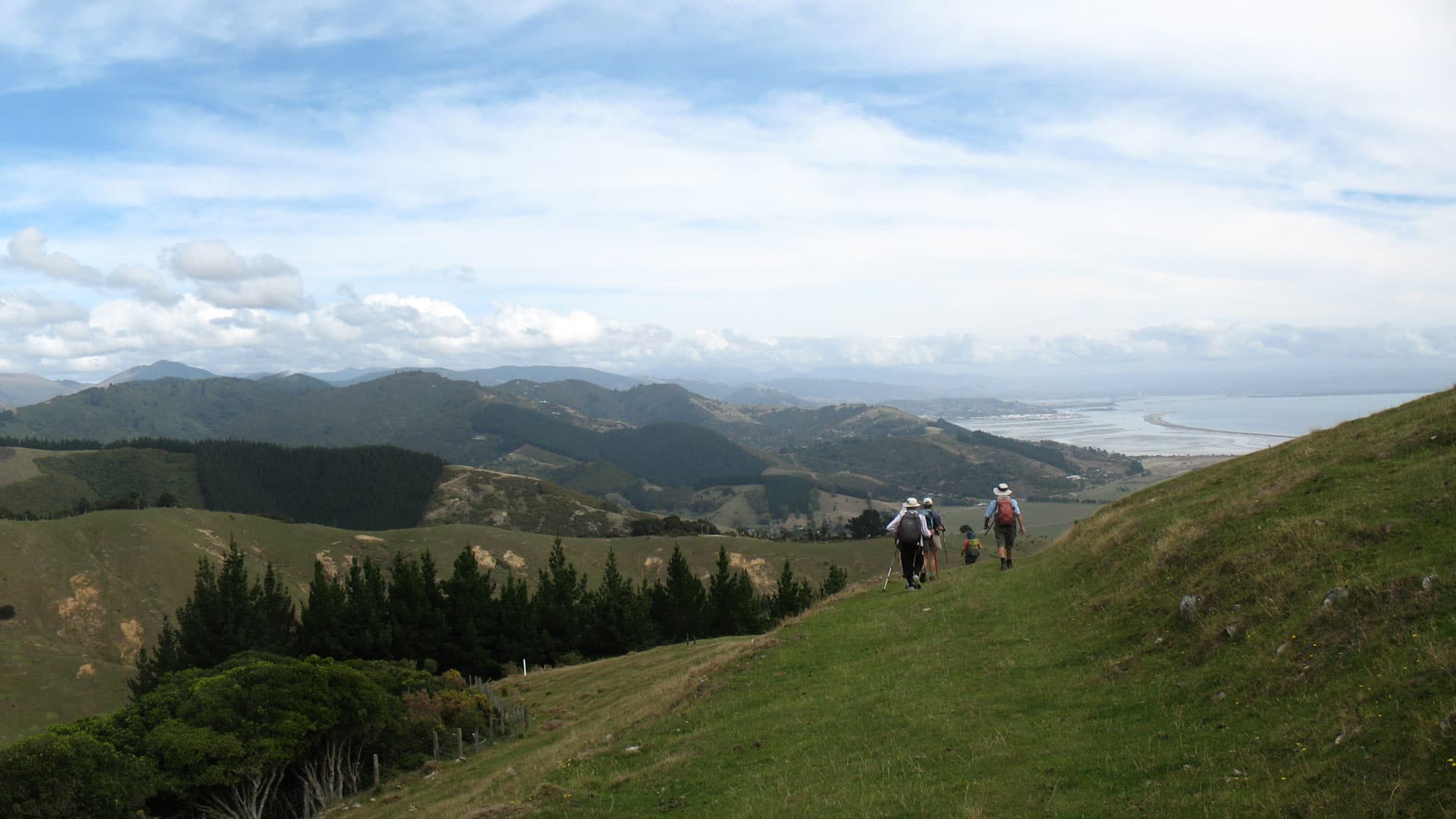 Cable Bay Walkway.