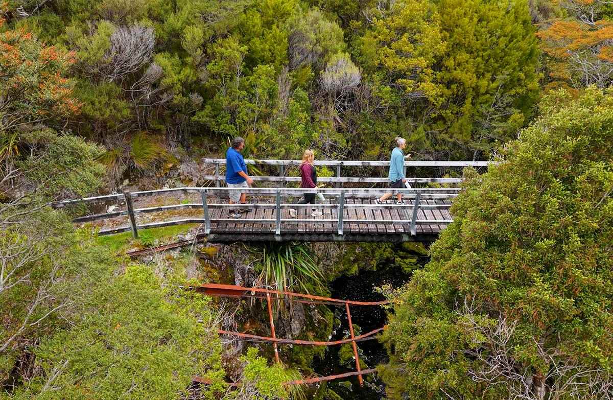 Three walkers cross a wooden footbridge over a tea-coloured stream with subalpine shrubs and a rusted historic tramline.