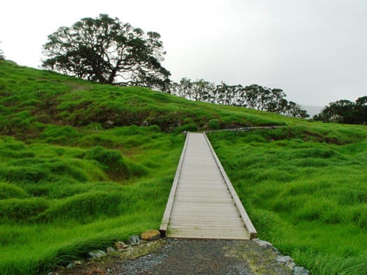 Bridge along grassy land.