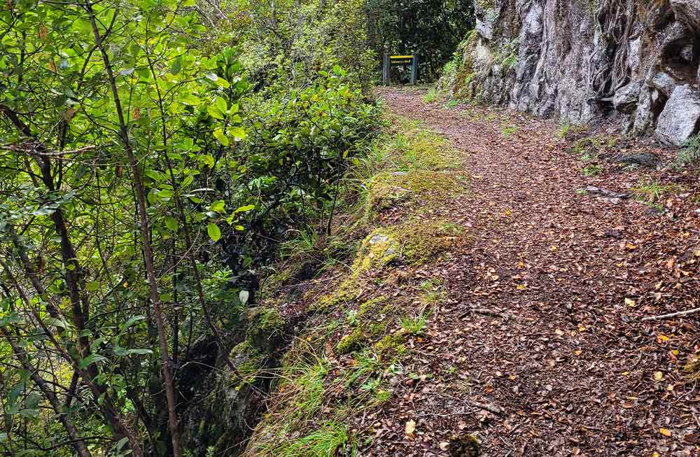 The track crosses Maloney’s Bluff, be careful of the steep drop-off 