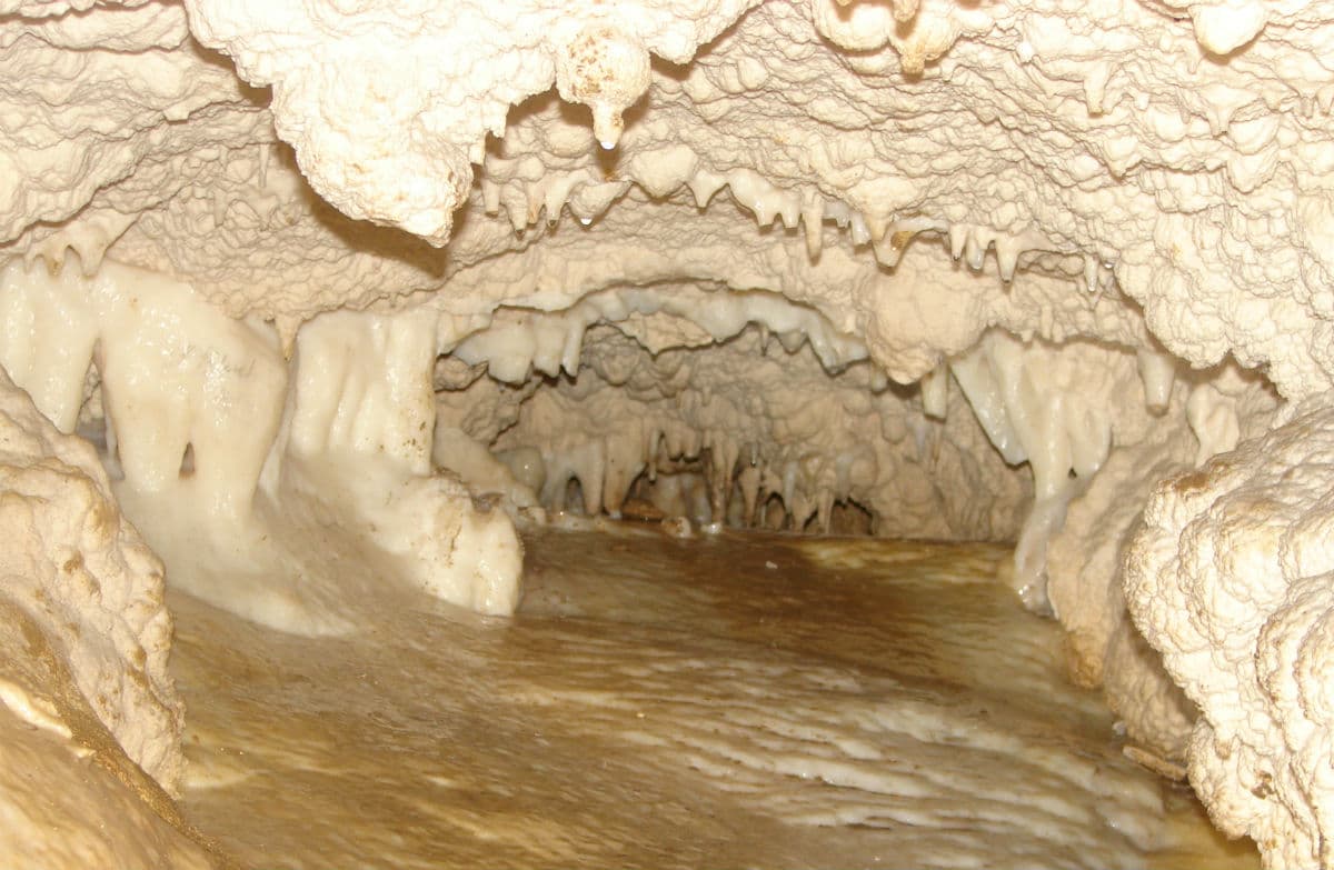 Mangaone Caves track.