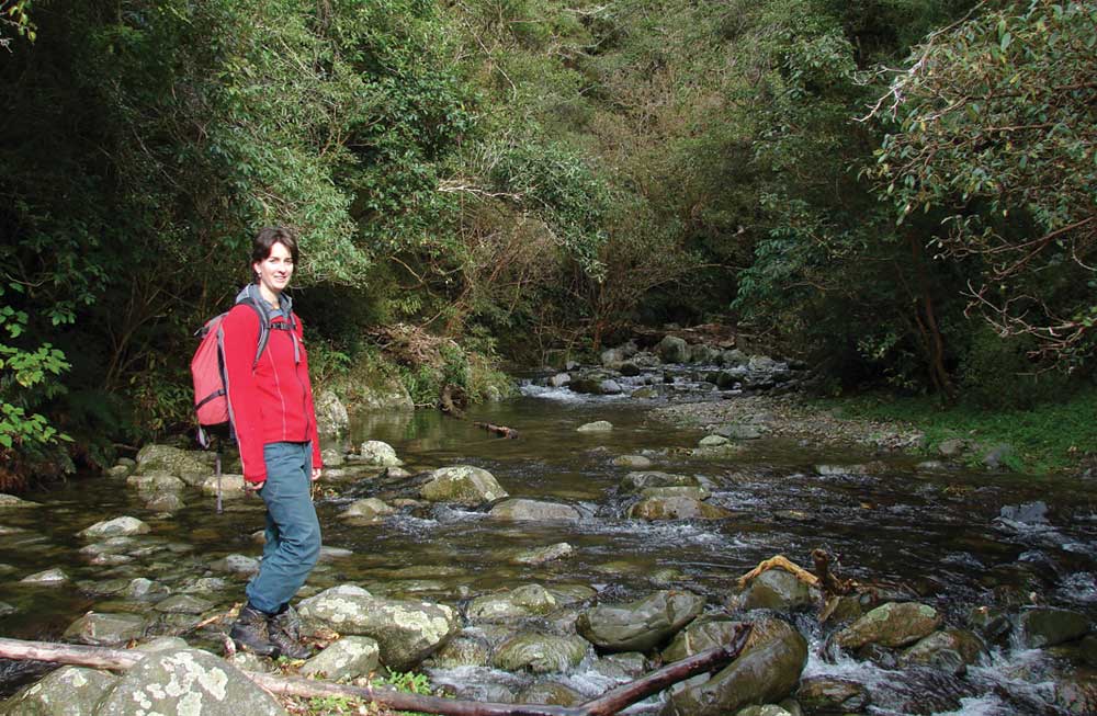 Stream crossing Kelceys Bush.