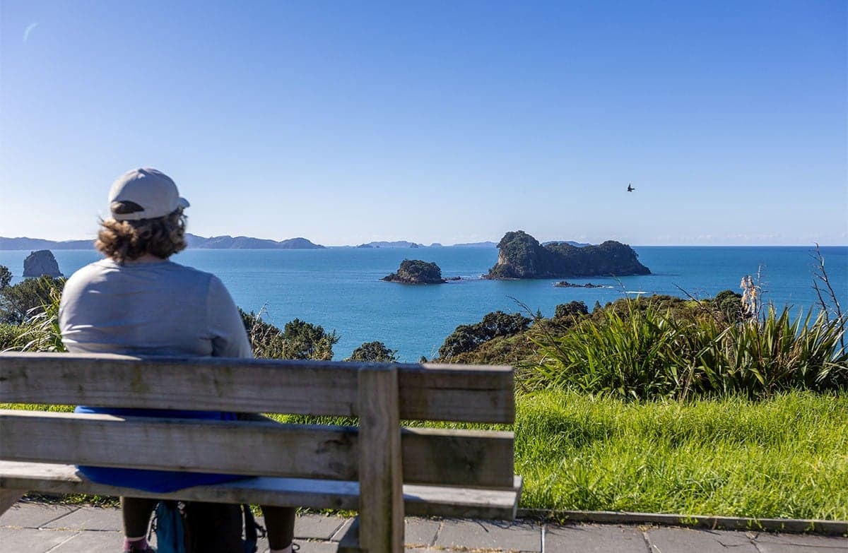 Person on a clifftop bench looks over grass and flax to a blue sea dotted with small bush-covered islands.