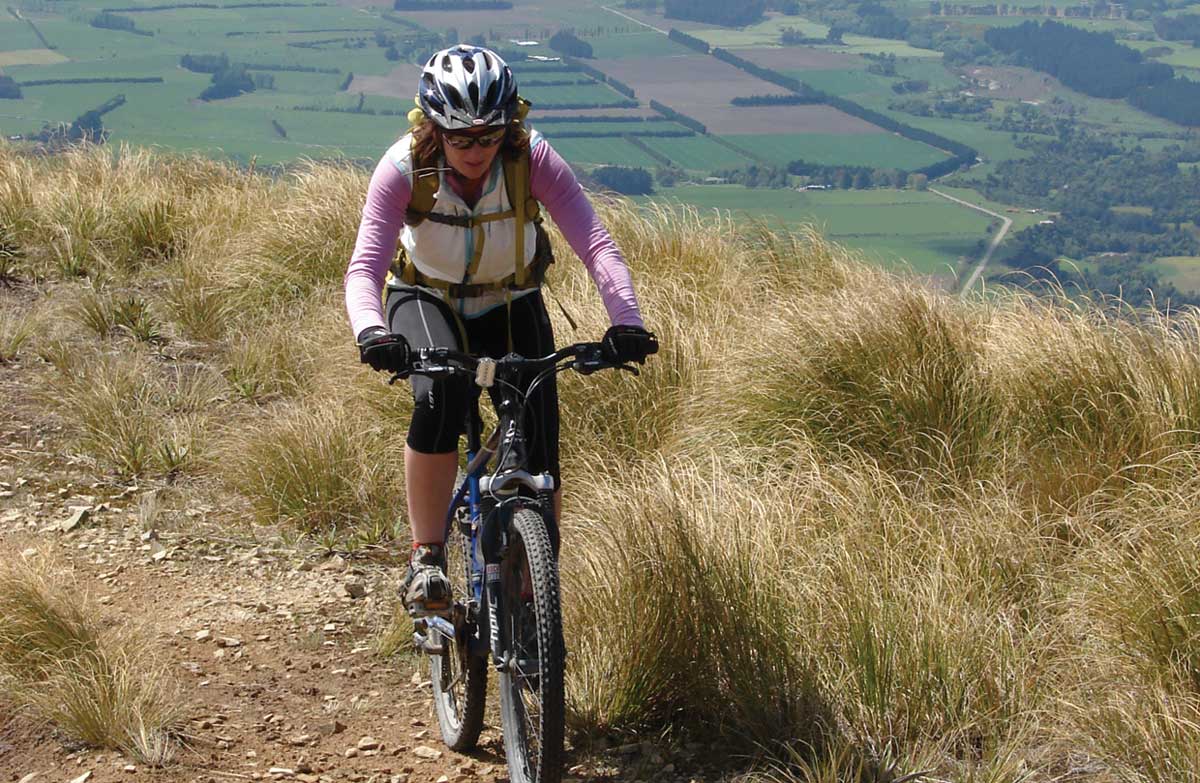 Mountain biker on Mt Studholme.