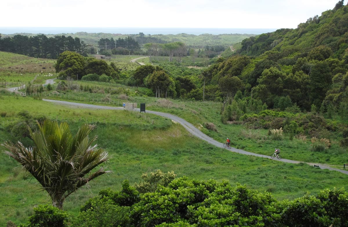 Whareroa Farm tracks with two mountain bikers