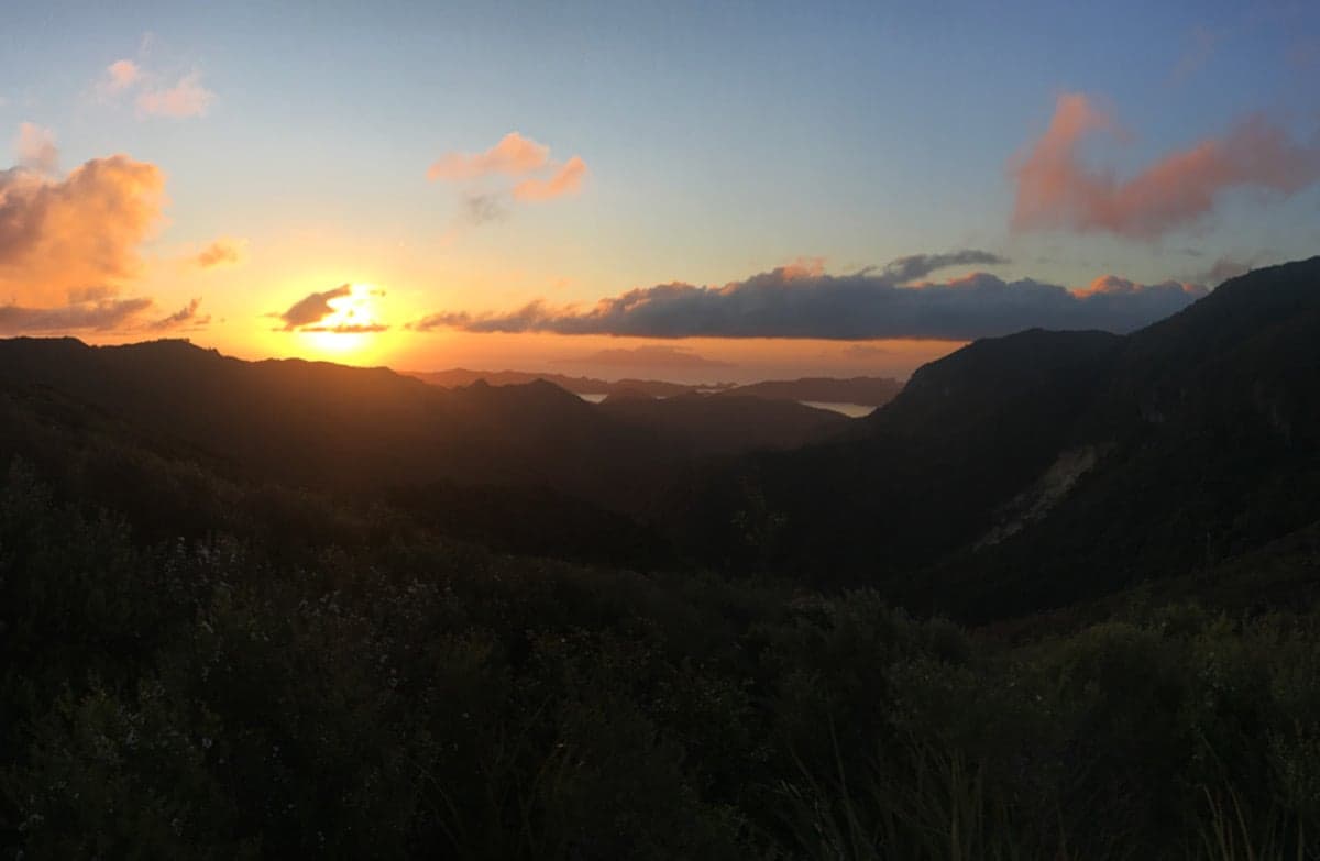 View from Kaiaraara Track at sunset.