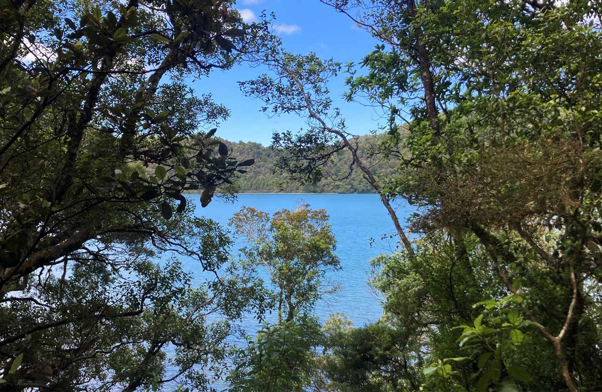 Glimpse of the lake through the trees on the Rotopounamu Walk.