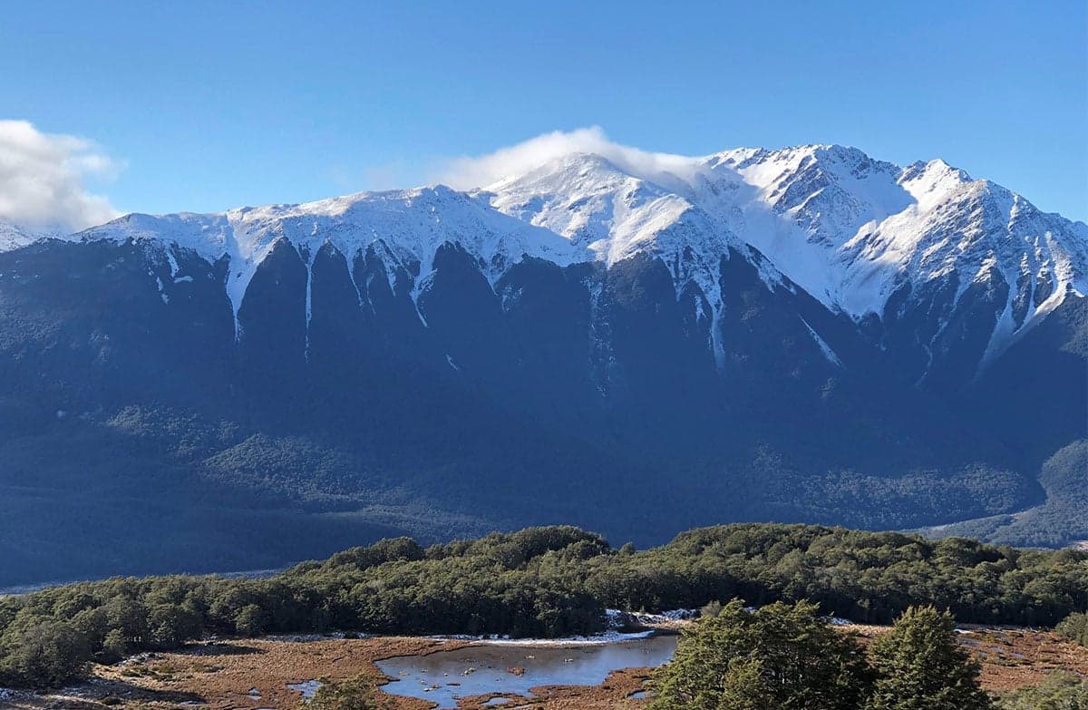 Bealey Spur vista - tussock in the foreground, a pond, bushes, and a snow capped mountain.