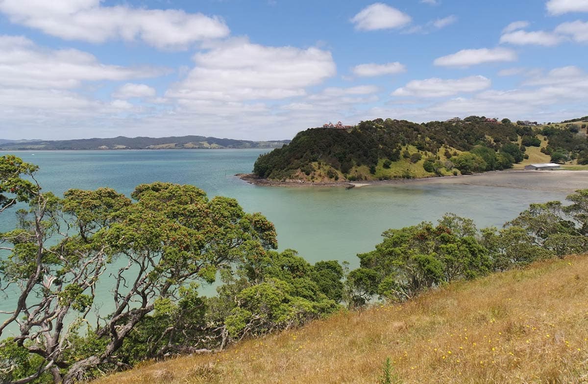 Motukiore Island Walk.