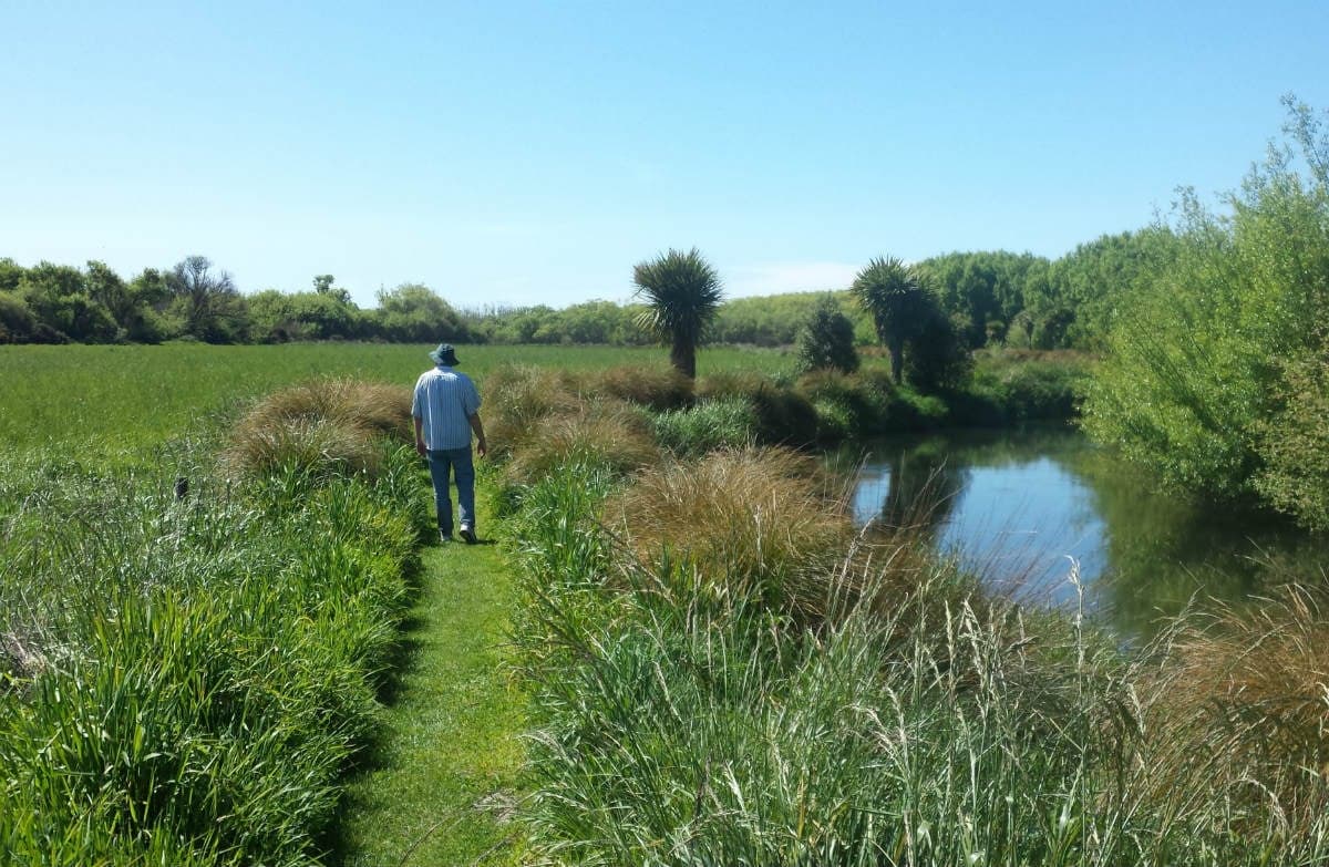 Harts Creek walk.