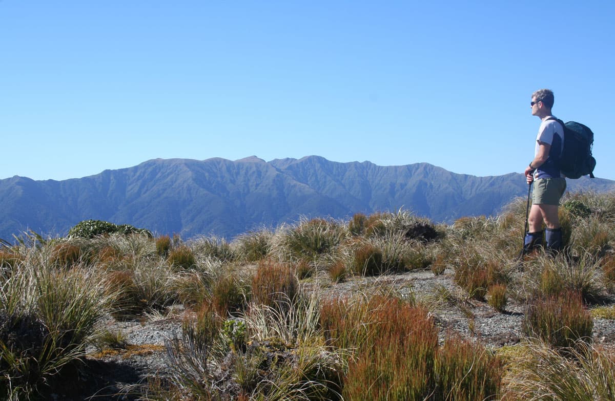 Tararua ranges from the summit of Kapakapanui.