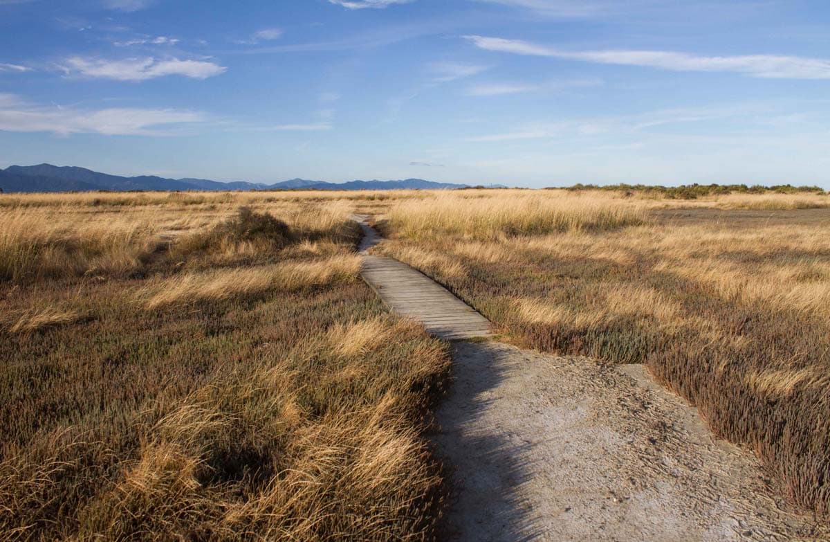 Wairau Lagoon Walkway.