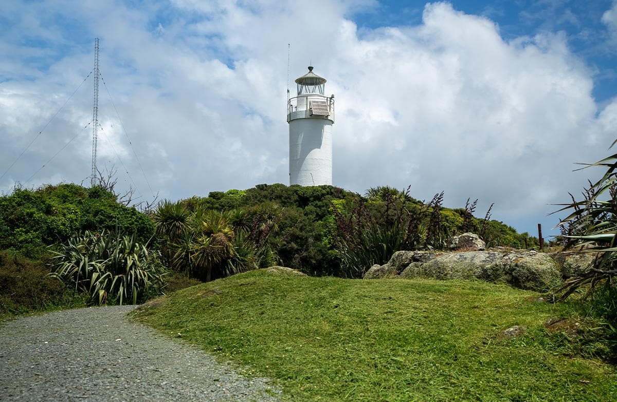 An old white lighthouse surrounded by New Zealand flax and coastal scrub with a gravel track in the foreground.
