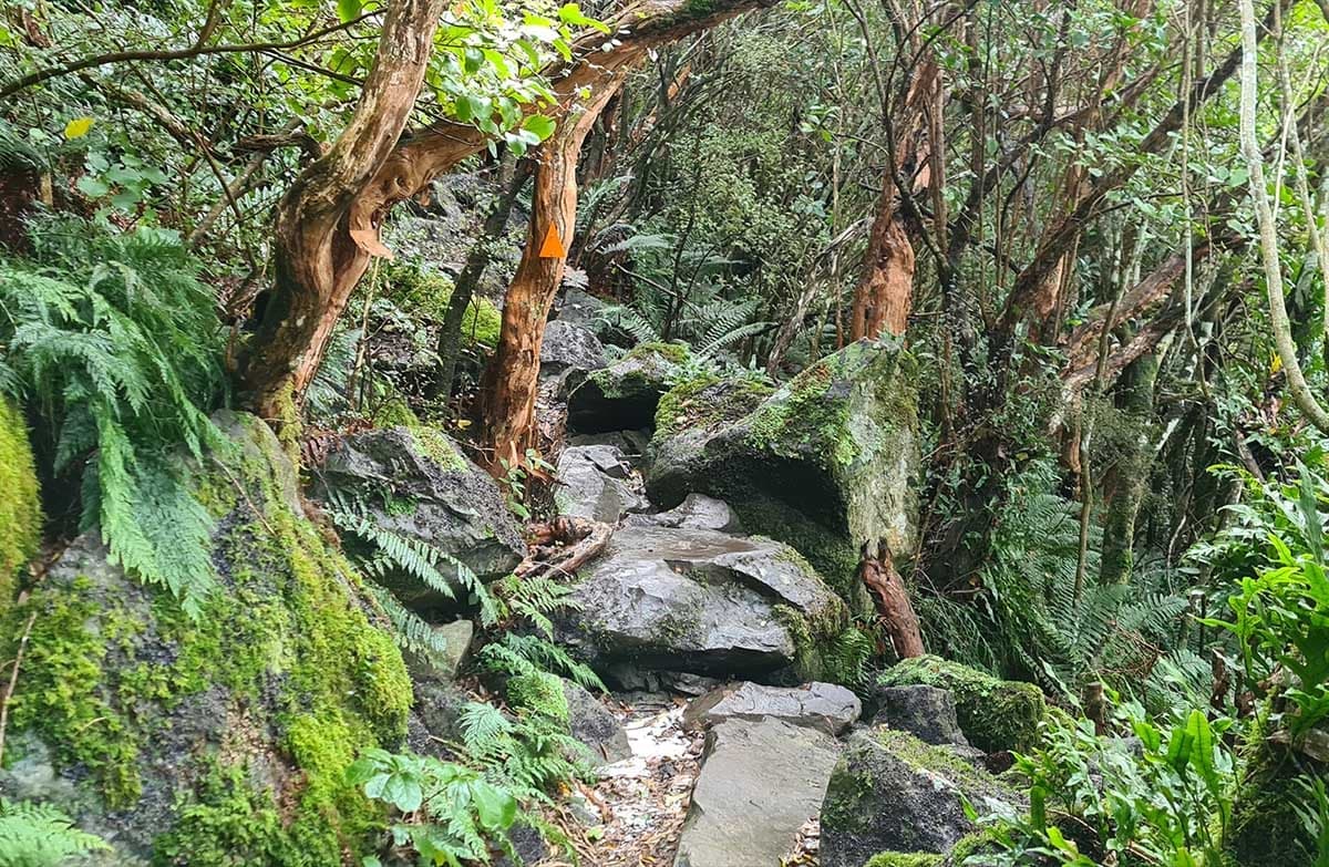 Large rocks that can be used as steps extend upwards and away. The rocks are on the side of a hill. The hill is covered in native bush.