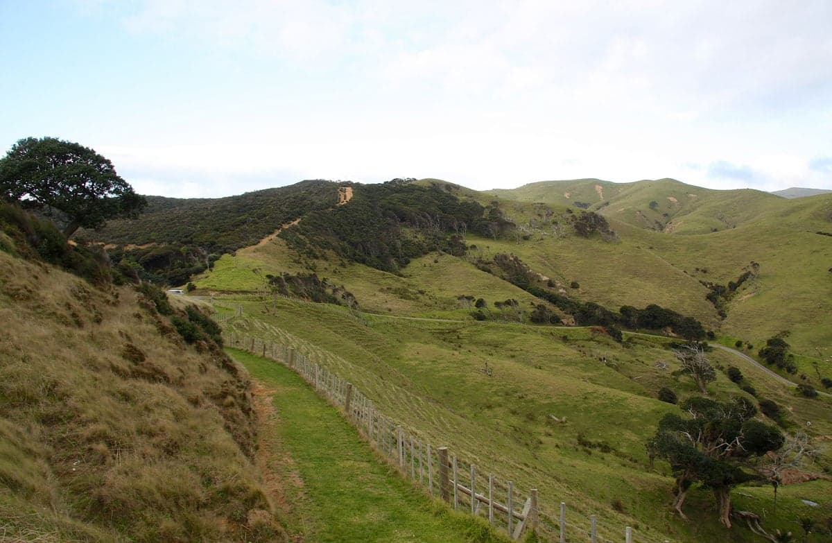 DOC Muriwai Walk.