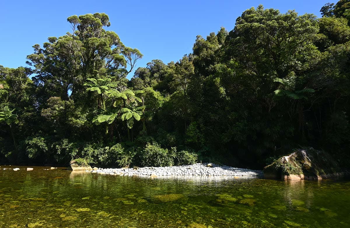 Still green water backed by native bush and blue sky.