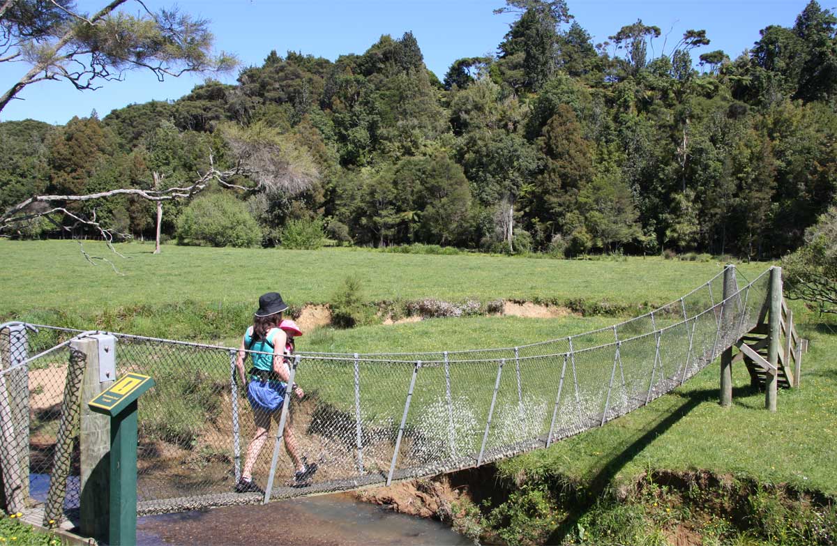 Crossing a bridge on the Karakariki Track.