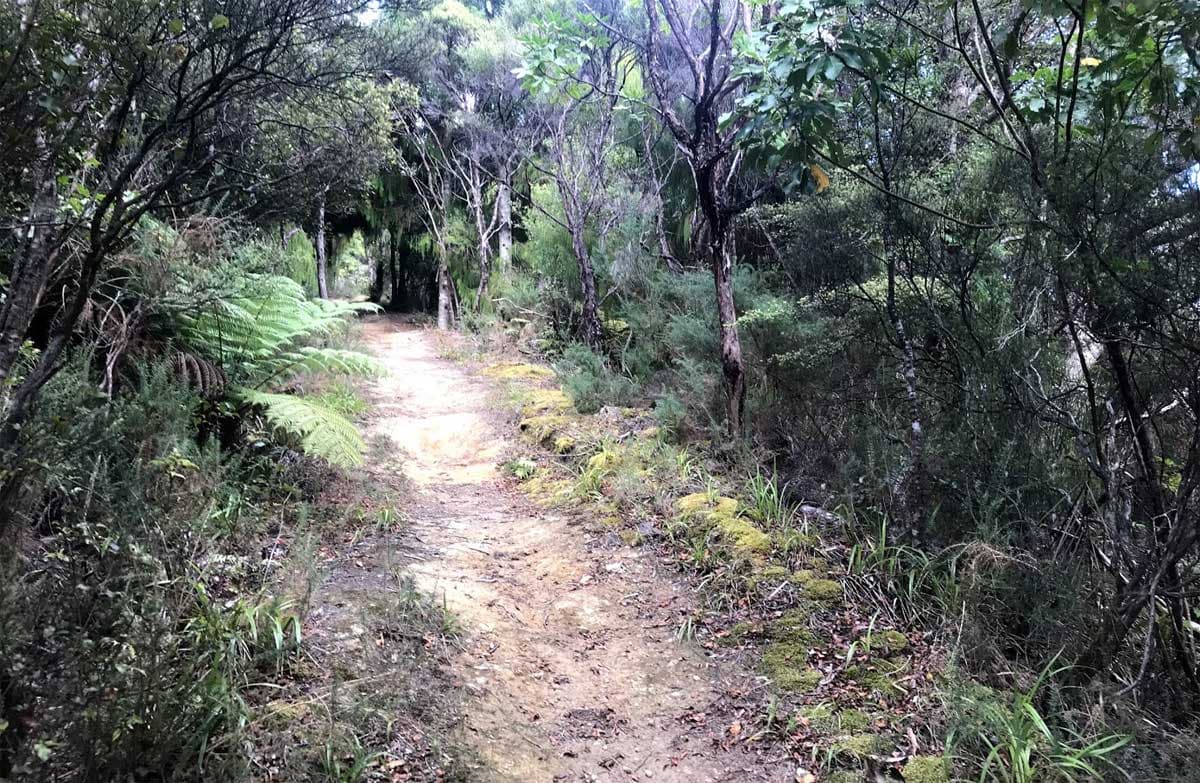 Middle Ridge Track.
