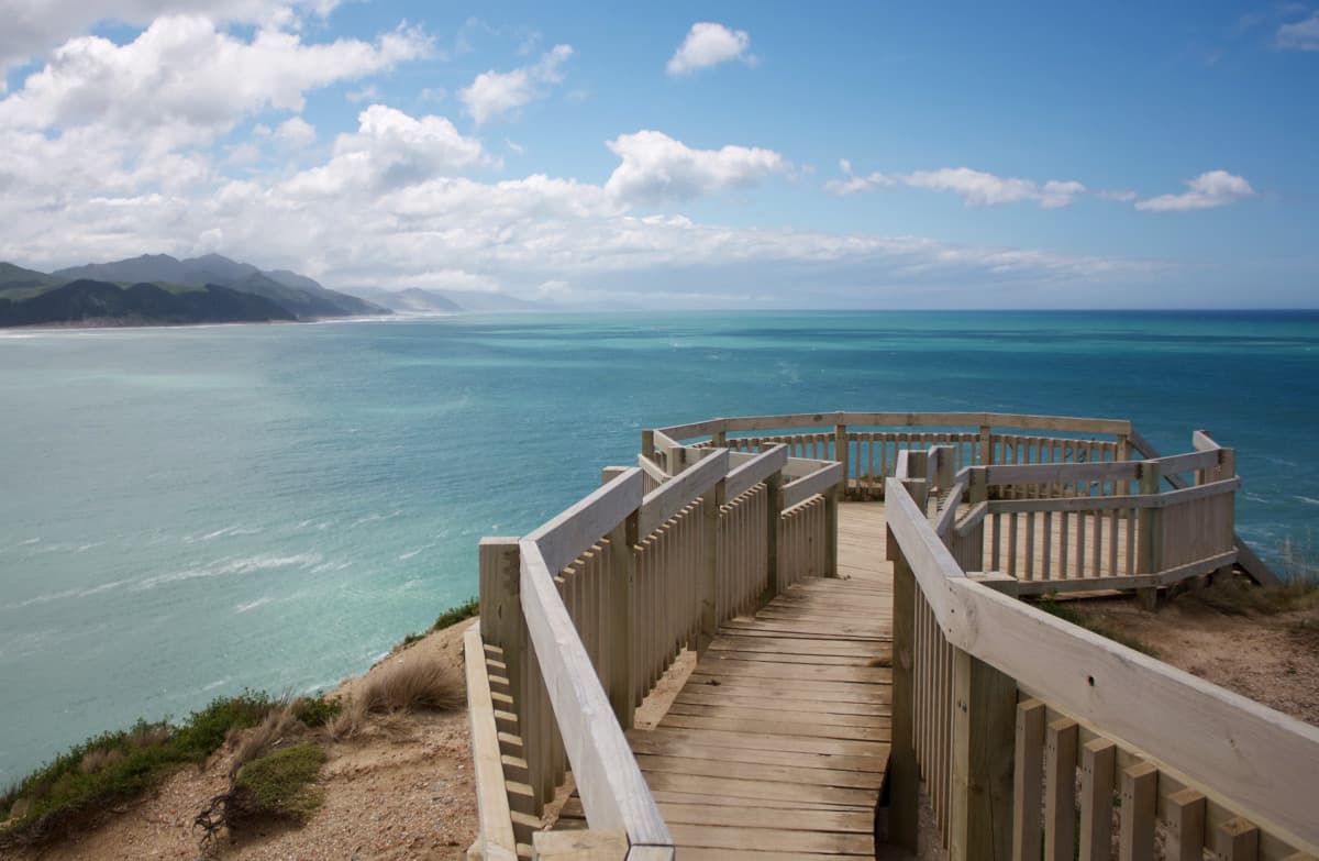 Viewing platform on the Castlepoint lighthouse walk.