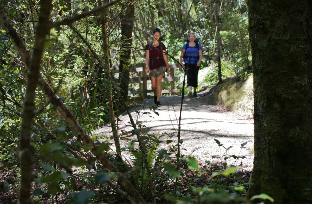 Trampers on Orongorongo Track. 