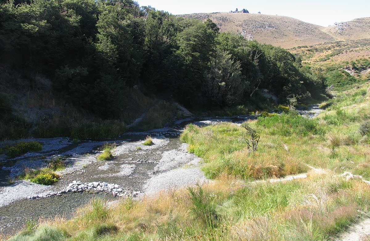 Thomas River Track