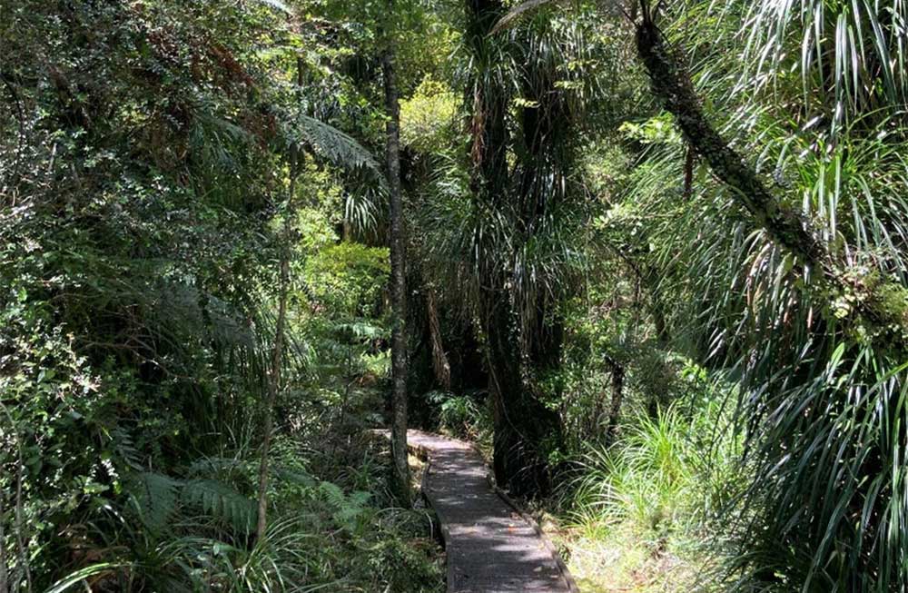 Wharekai-Te Kou Walk