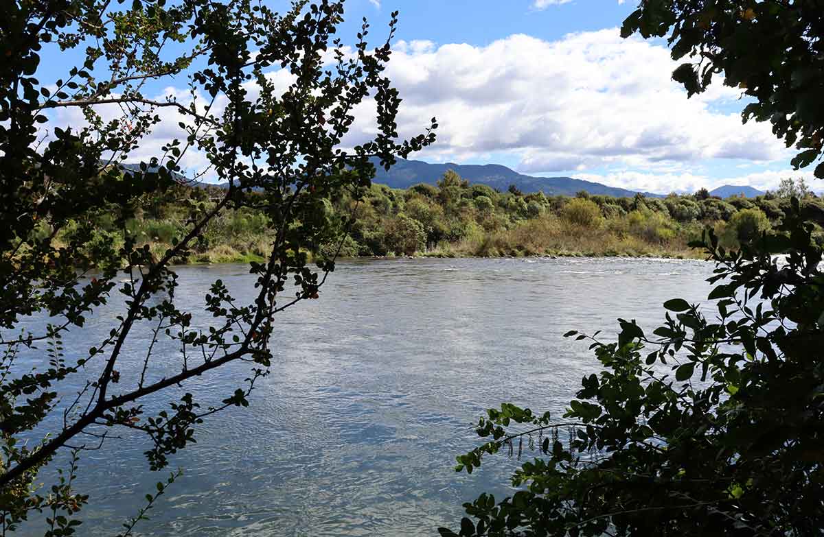 Closer views of the river from angler access tracks.