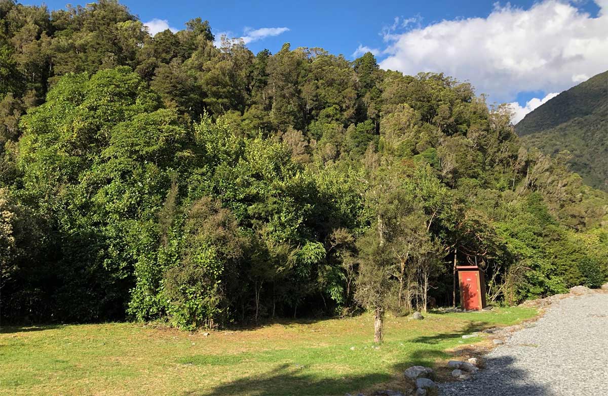 Forest-covered hillside beside a grassy clearing. 