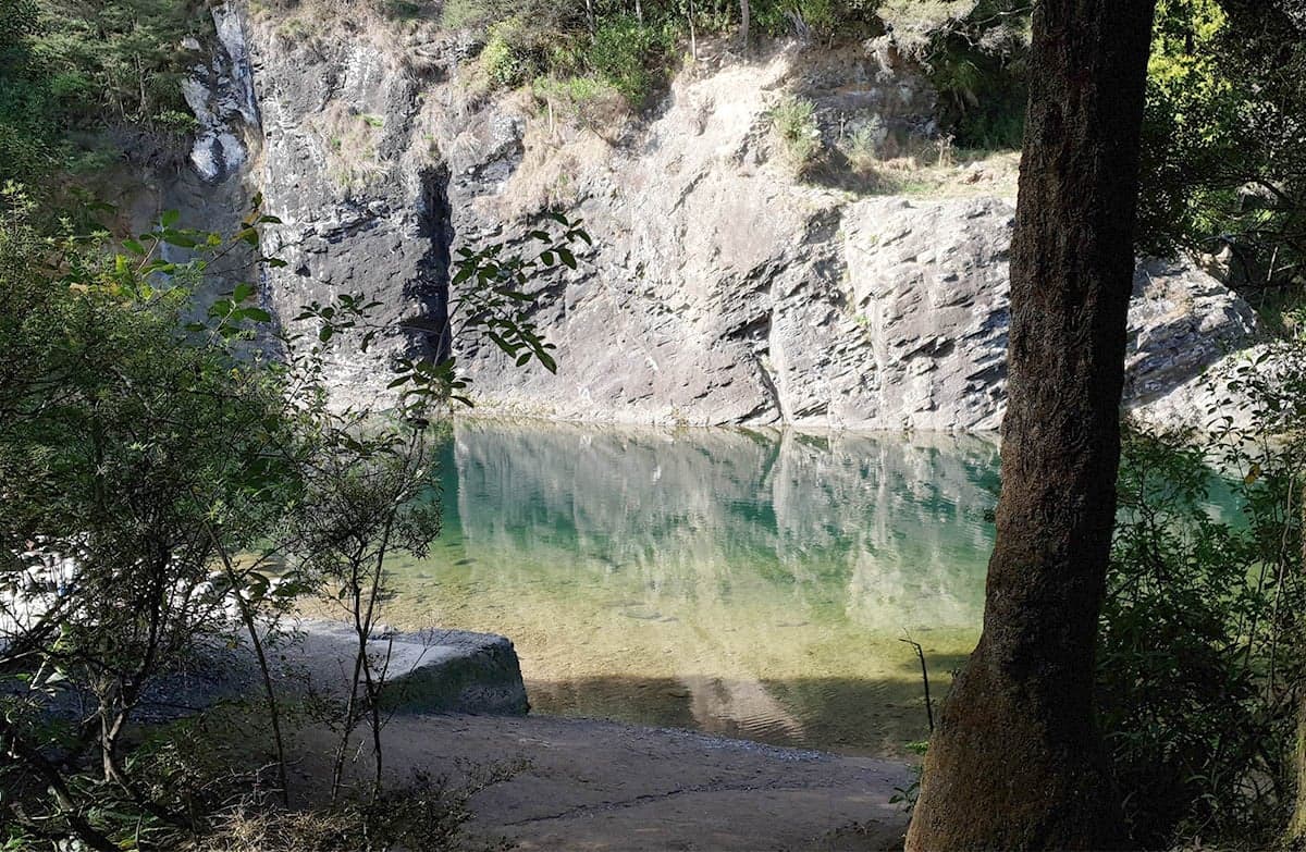 Nature Walk – Hoffman's Pool